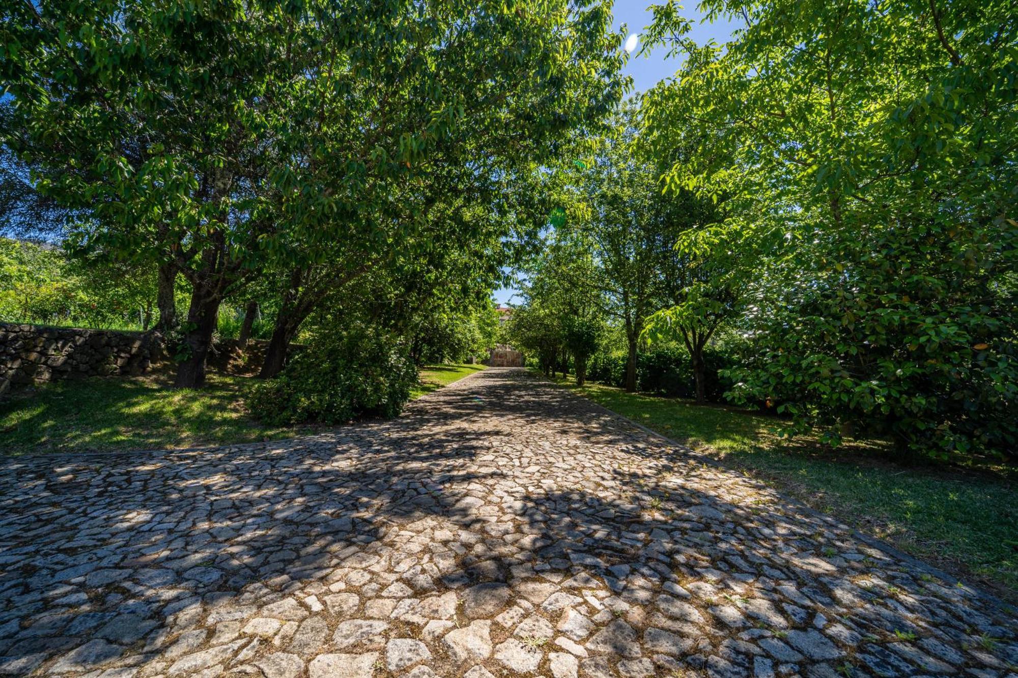 Eido Oliveira - Casa De Campo - Ponte De Lima Anais Bagian luar foto