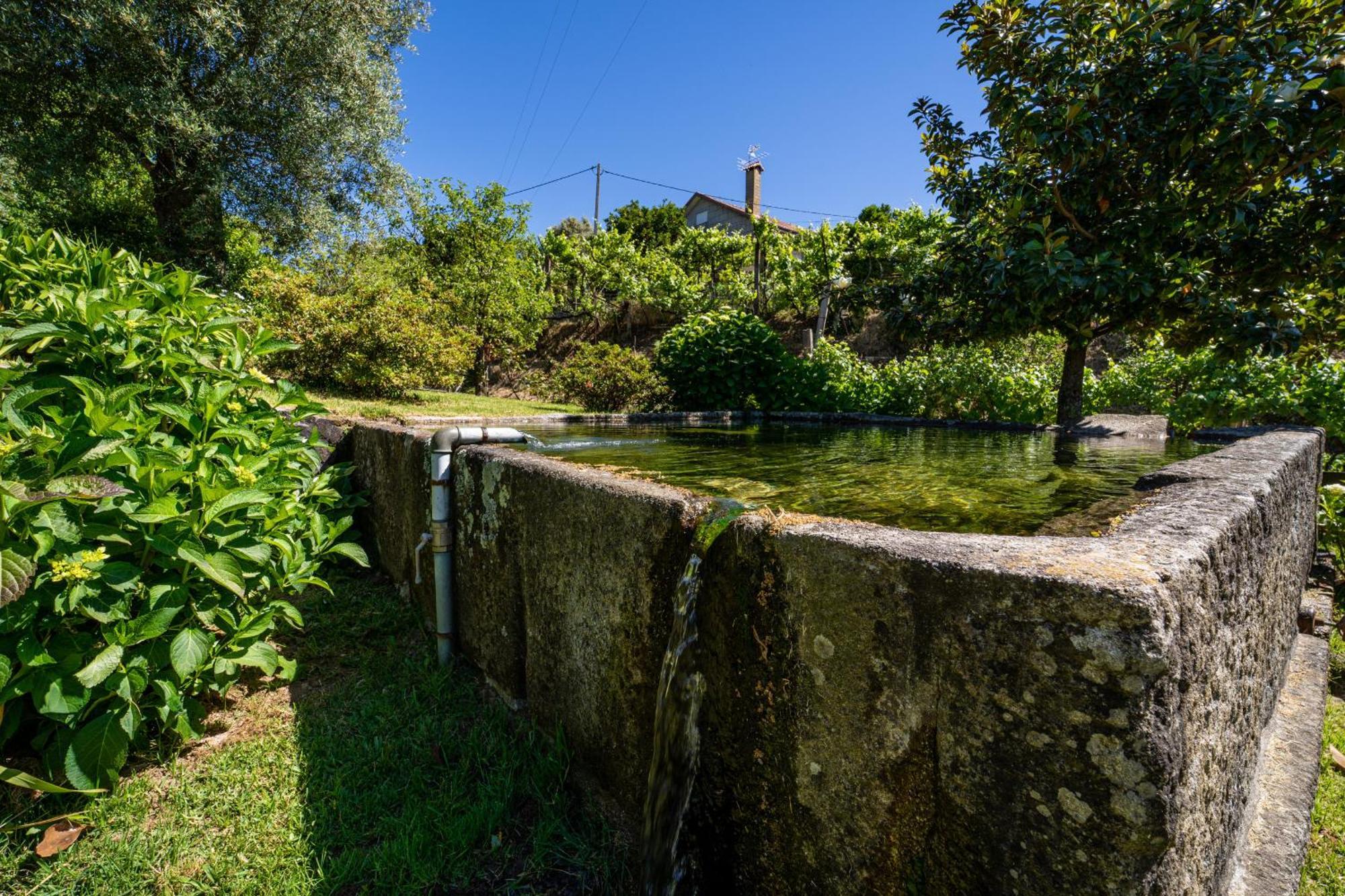 Eido Oliveira - Casa De Campo - Ponte De Lima Anais Bagian luar foto